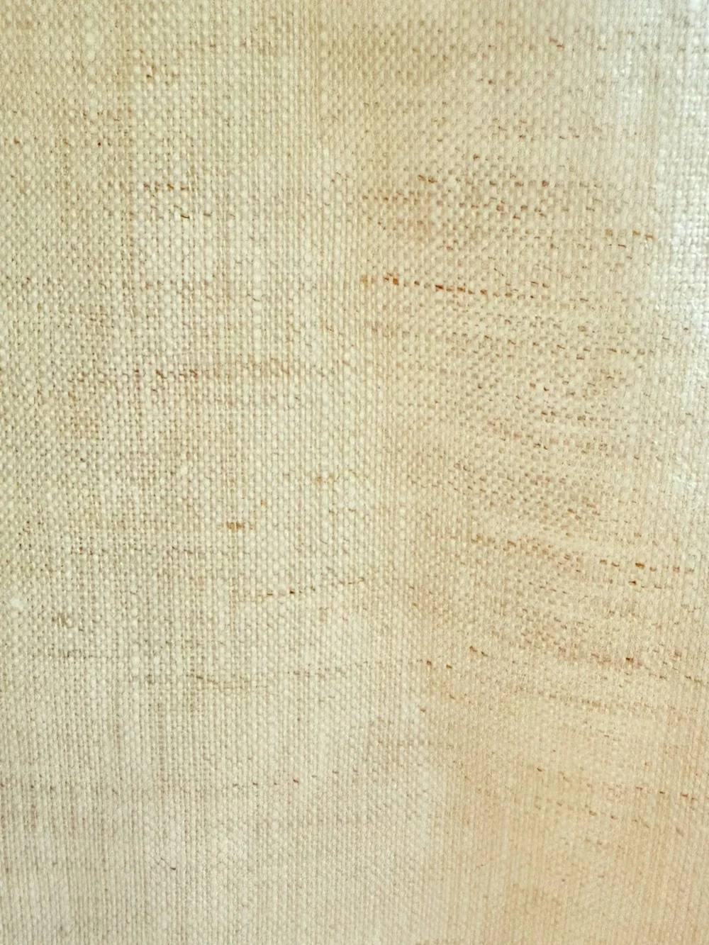 Banana Republic Beige Linen Blend Vest & Pants Set Size 4